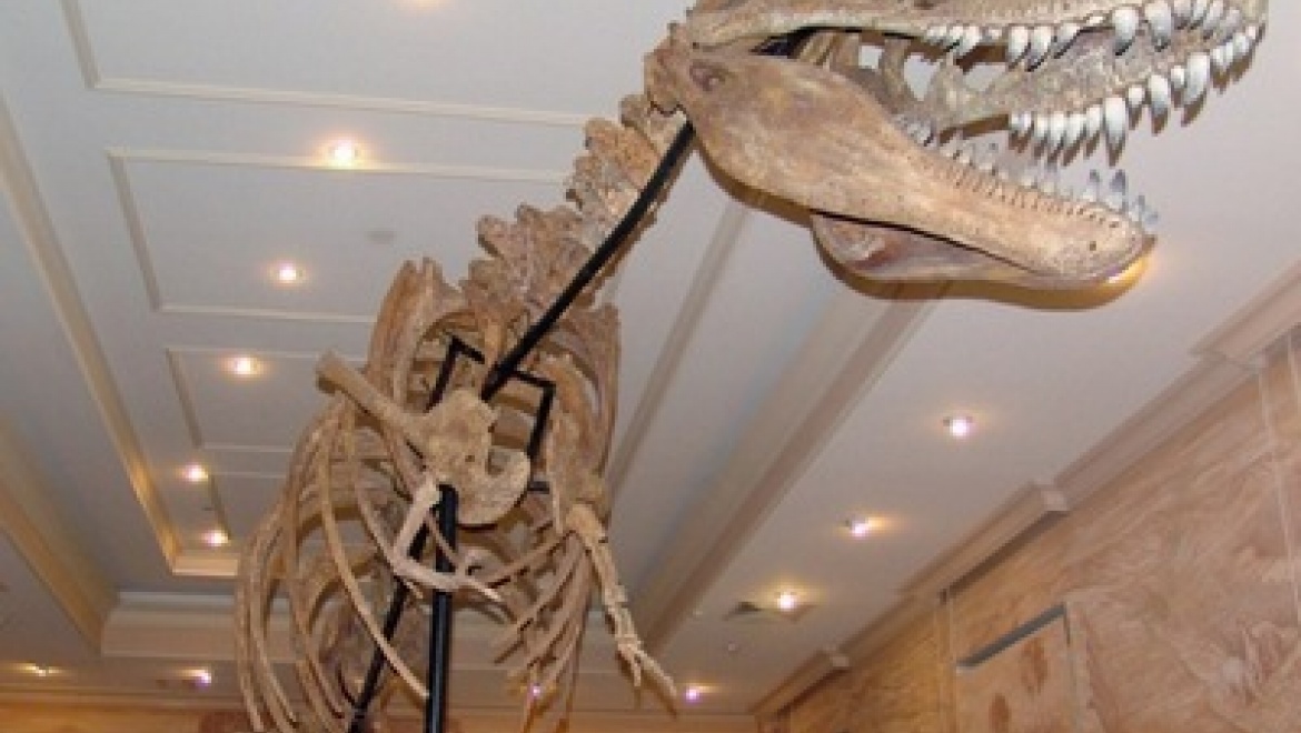 В Казани стартует конкурс «Мой любимый экспонат»