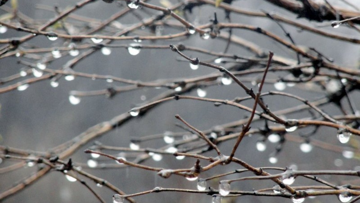 В Казани ожидаются плюсовые дневные температуры