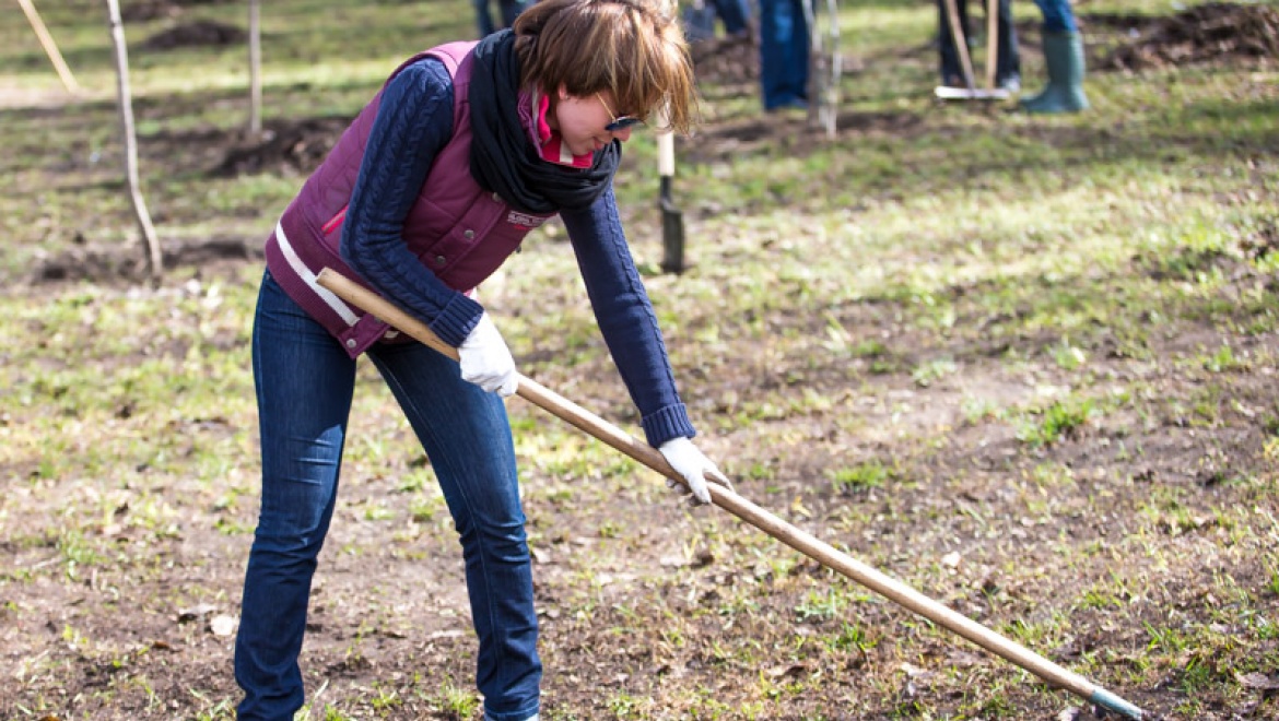Основной субботник в Казани пройдет на территории Адмиралтейской слободы