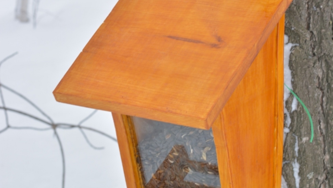 Итоги Областного конкурса «Покормите птиц»