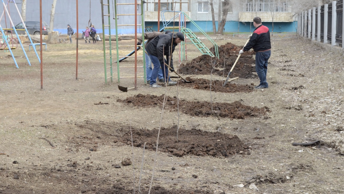 Оренбуржцы, сделаем город зеленее и краше!