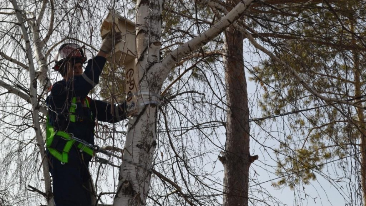 Энергетики «Оренбургэнерго» поддержали экологическую акцию «Домики для пернатых»