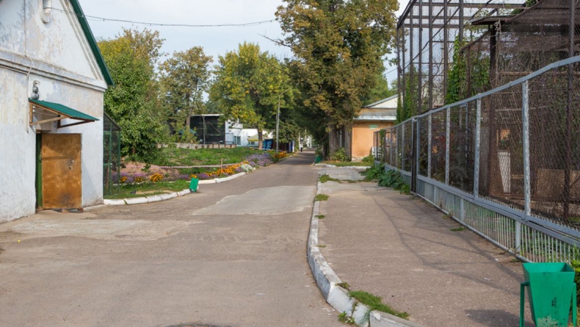 Объявлен конкурс на разработку концепции фирменного стиля Казанского зооботанического сада