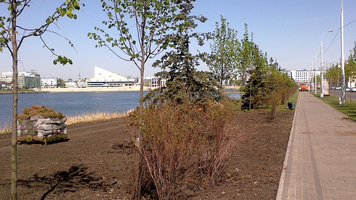 В Казани проведена санитарная обрезка почти 800 деревьев