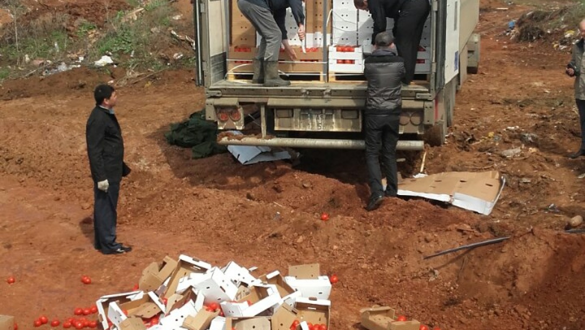 В Оренбургской области уничтожена партия турецких томатов