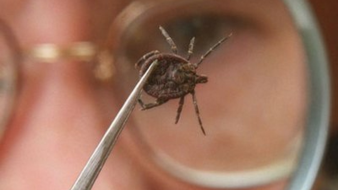 В Татарстане начался сезон клещей