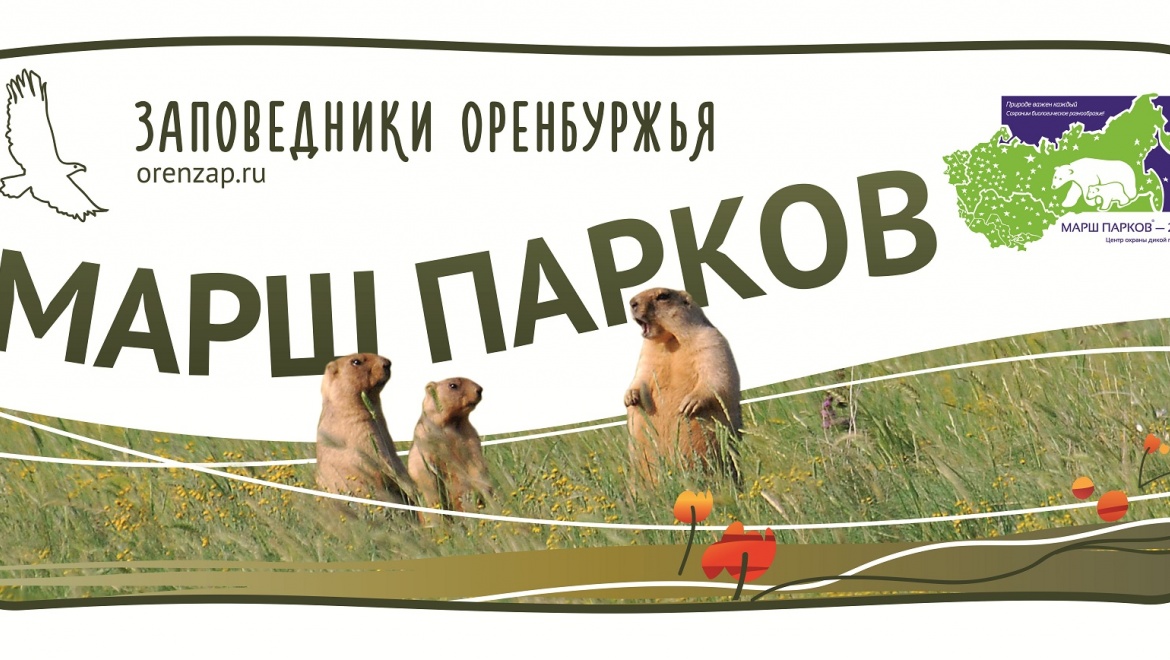 Областной детский художественный конкурс «Мир заповедной природы»