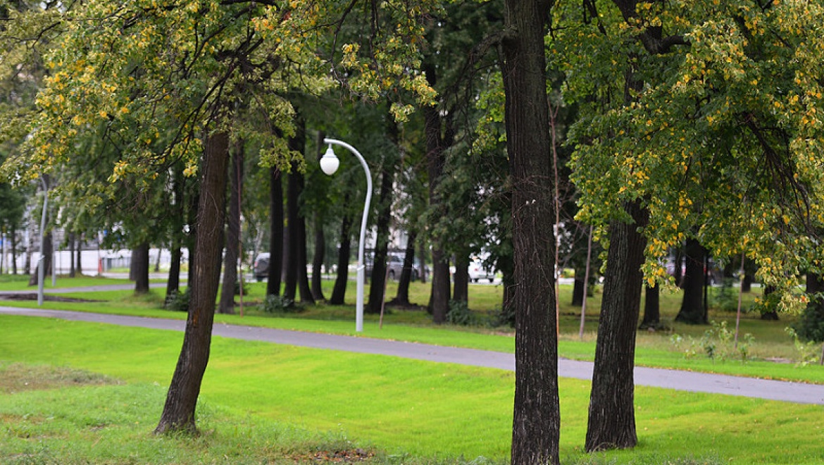 Казанцев приглашают обсудить планы по благоустройству Горкинско-Ометьевского лесопарка