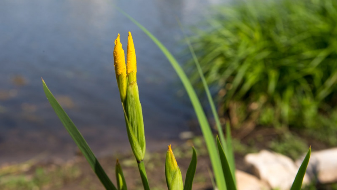 В Казани определили пляжи и места летнего отдыха горожан у воды на 2016 год