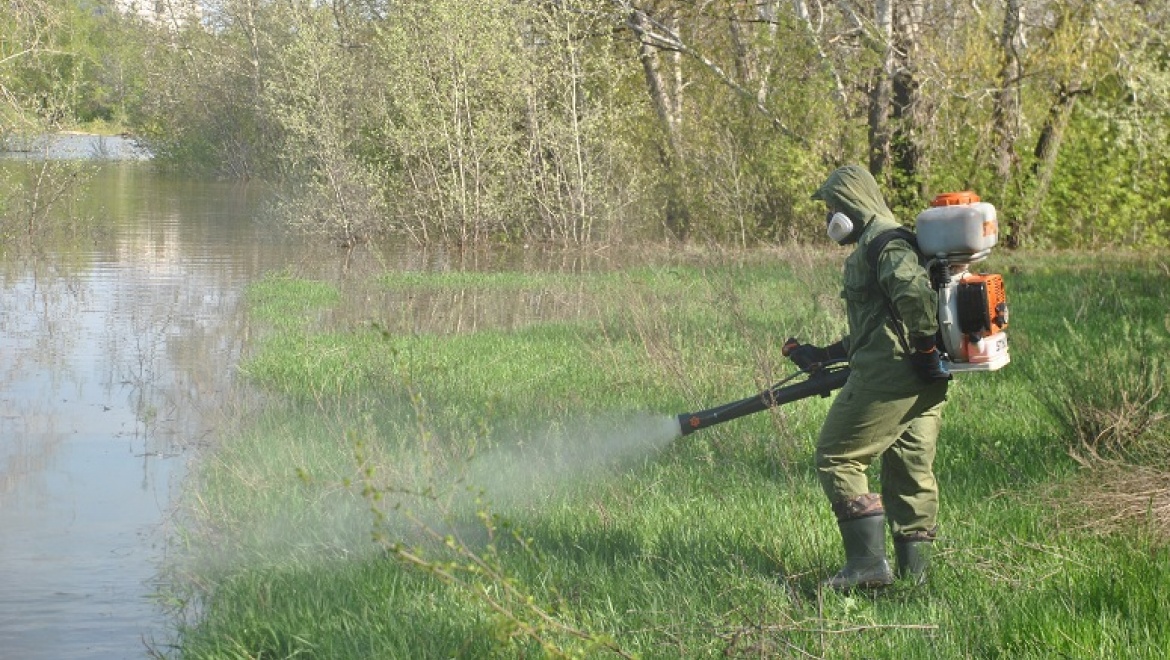 В Оренбурге проводятся комароистребительные работы