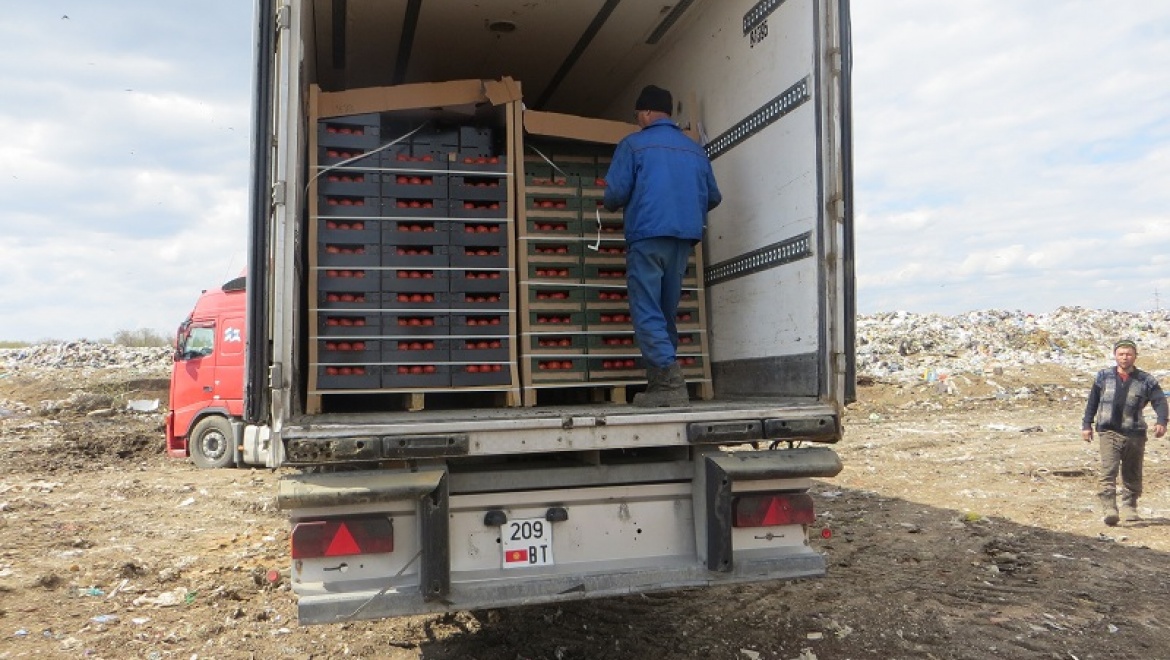 В Бузулуке уничтожены 39 тонн турецких томатов