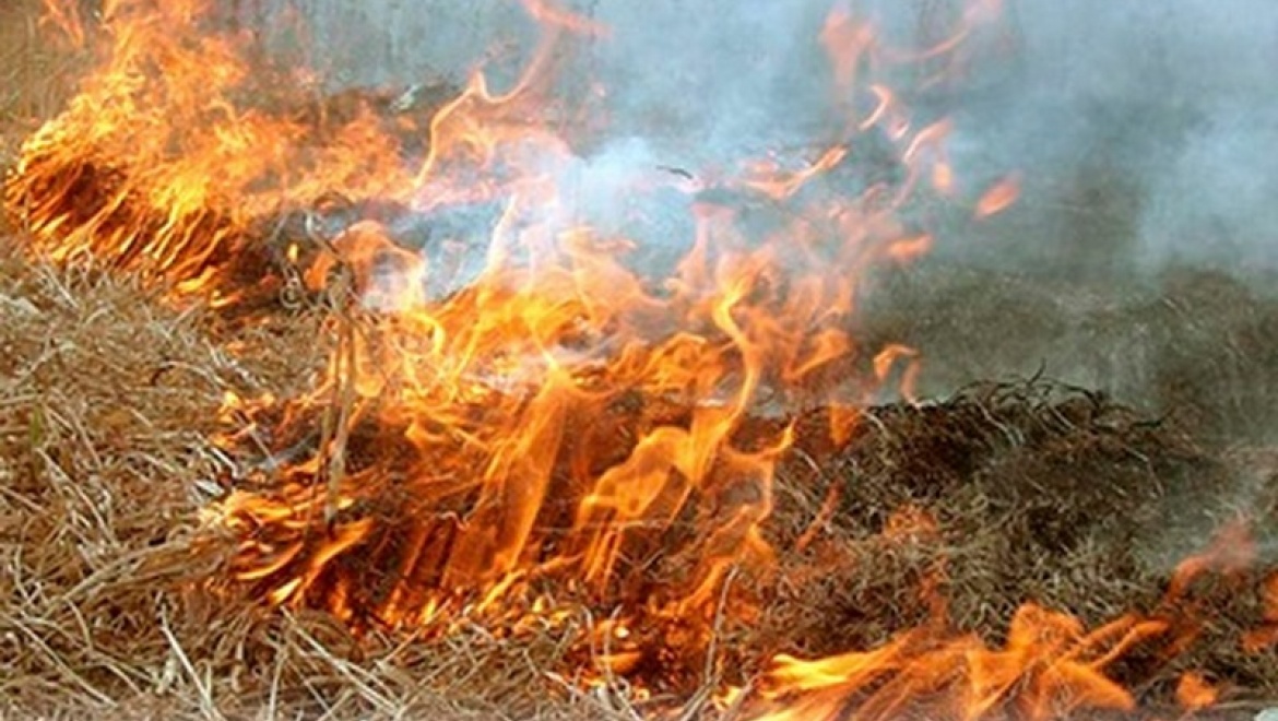 С 5 мая в Татарстане начнет действовать особый противопожарный режим