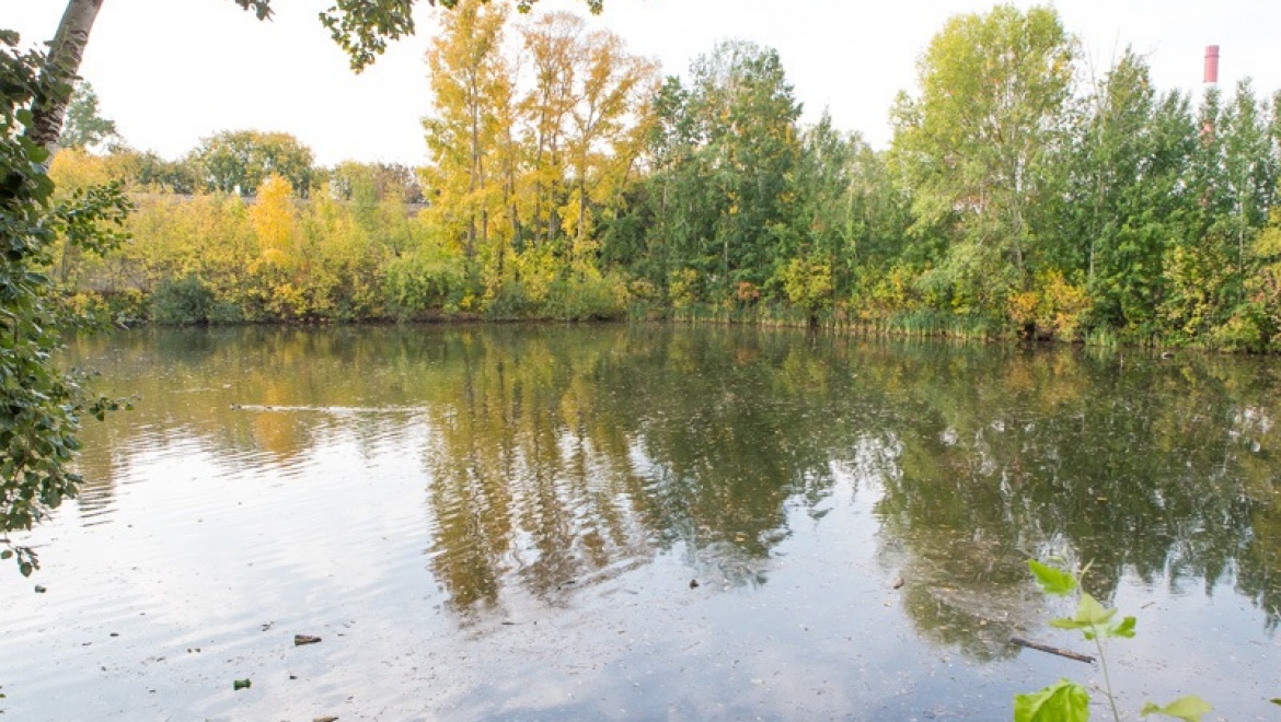 Ильсур Метшин возглавит жюри конкурса на фирменный стиль Казанского зооботсада