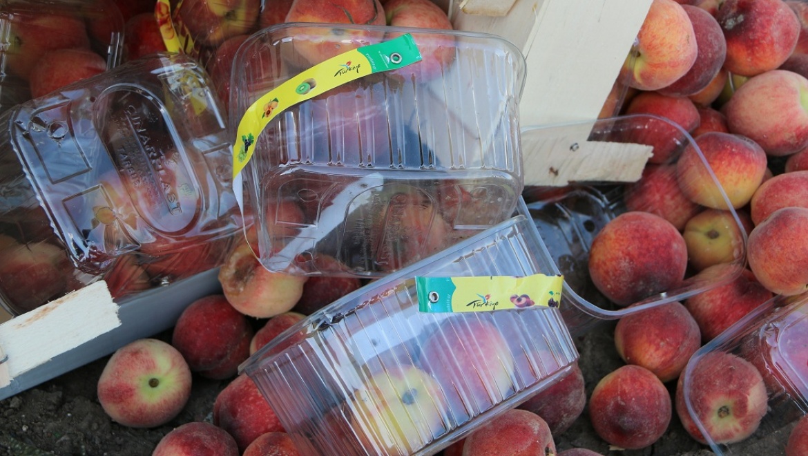 В Соль-Илецке уничтожены 16 тонн зараженных фруктов из Турции