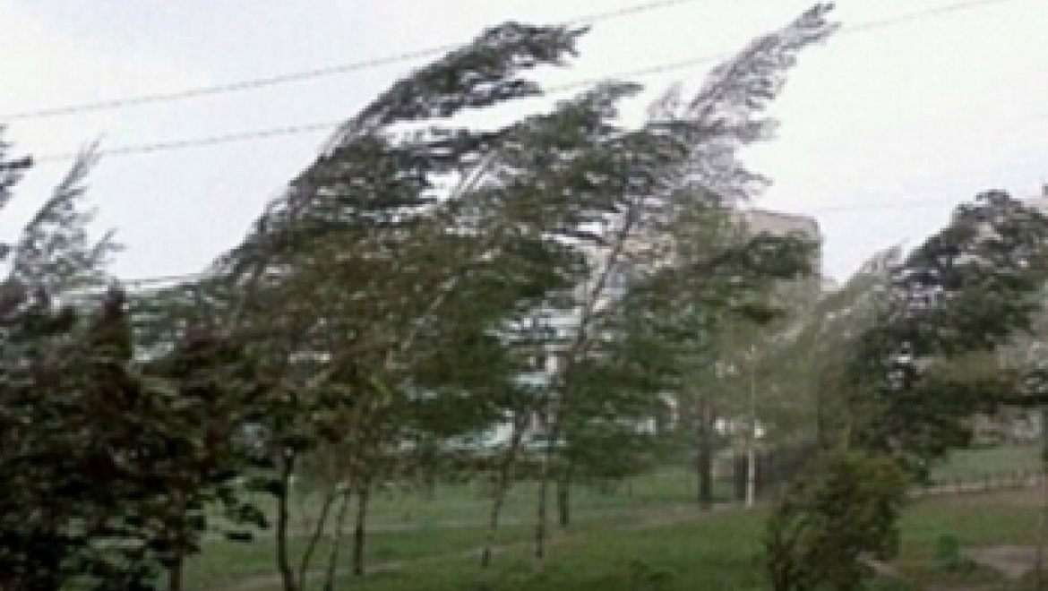 МЧС: В ближайшие сутки ожидается усиление ветра 