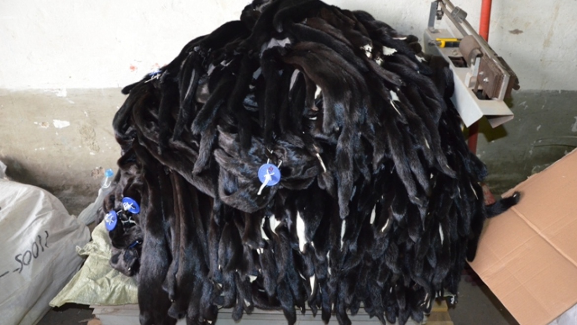 Оренбургская таможня задержала более 1500 меховых шкур