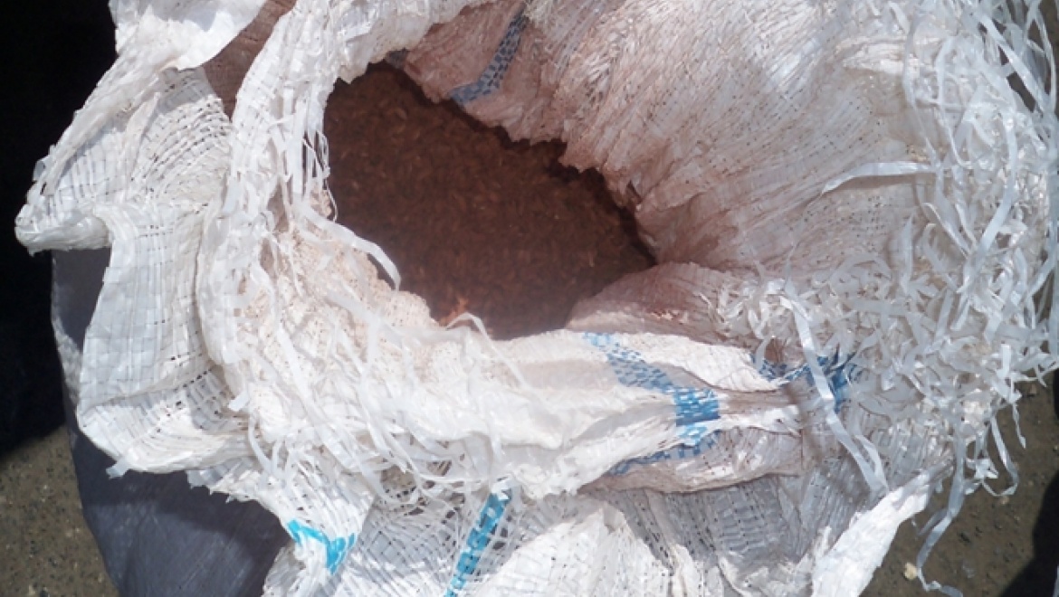 На оренбургской границе задержаны 60 тонн запрещенного риса
