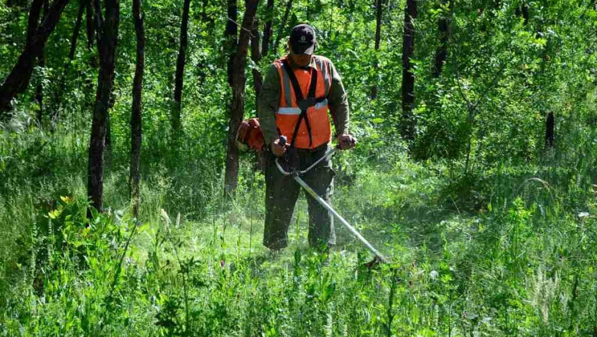 В Северном округе выбрали лучших газонокосильщиков