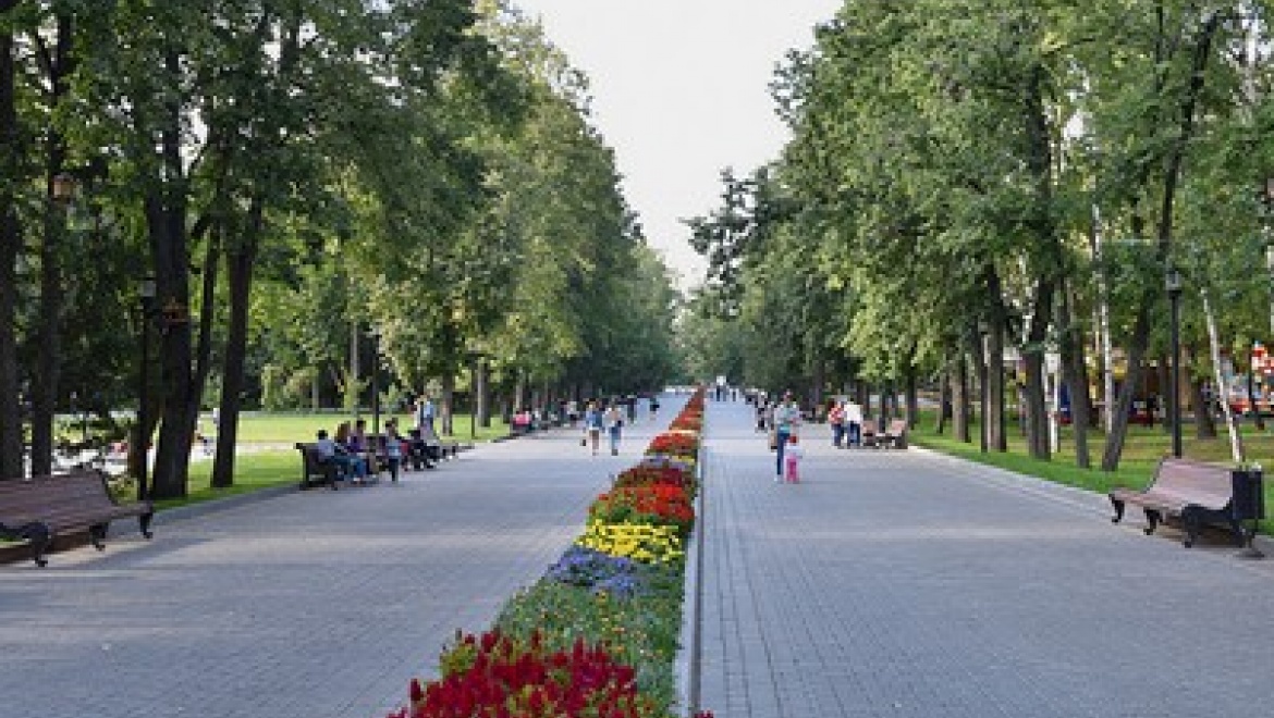 В парках и скверах Казани стартуют уличные кинопоказы