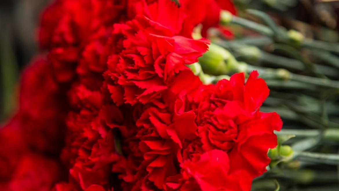 А.Песошин: «Мы скорбим по всем, кто ценой своей жизни выполнил святой долг, защищая Отечество»