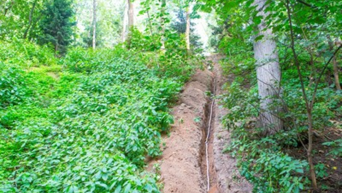 МЧС РТ предупреждает об опасности заблудиться в лесу