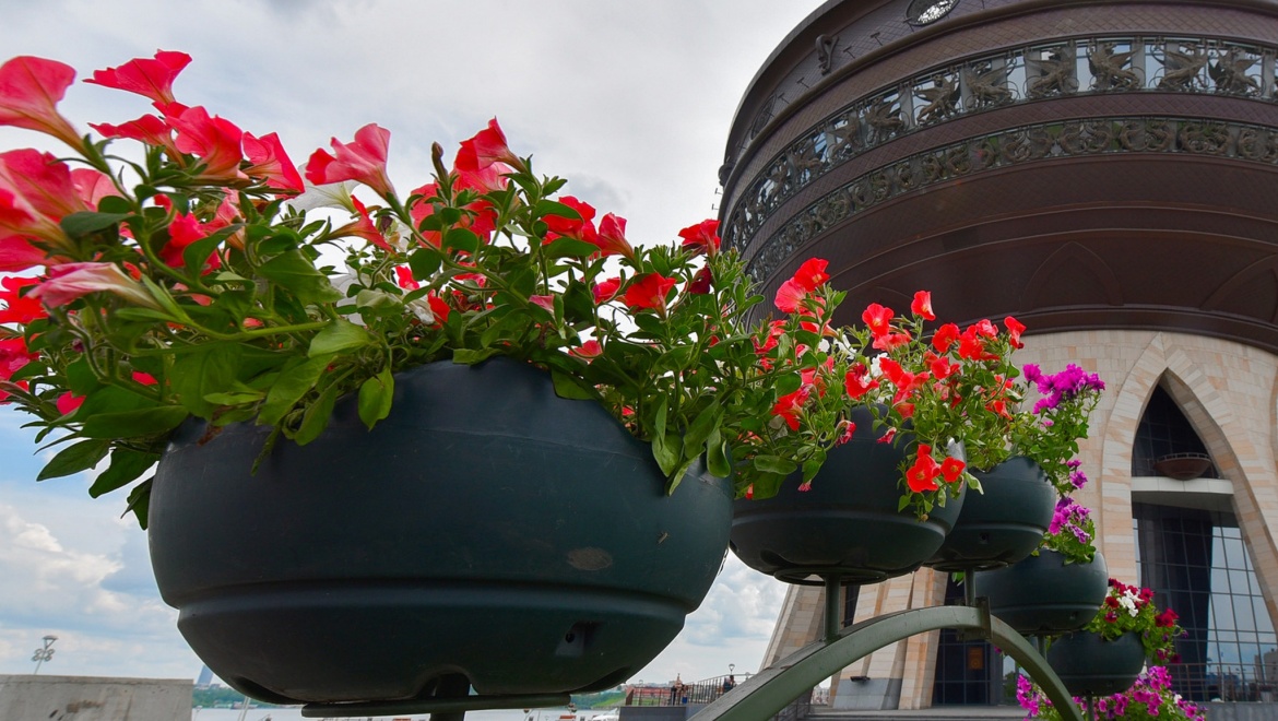 День семьи, любви и верности в Казани отметят трехдневным фестивалем