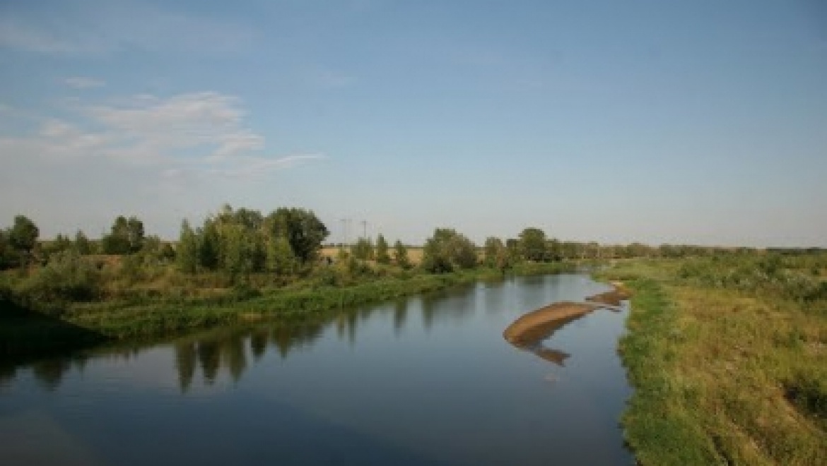На реке Илек утонул житель Рязани