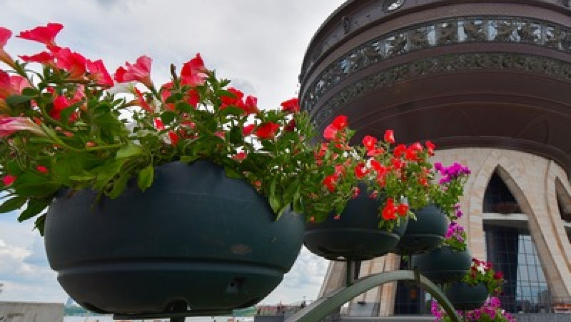 Казанцев ждет трехдневный «Семейный пикник»