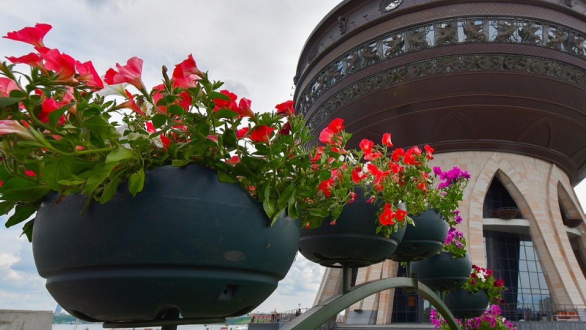 В День семьи, любви и верности казанцев ждут на трехдневном пикнике