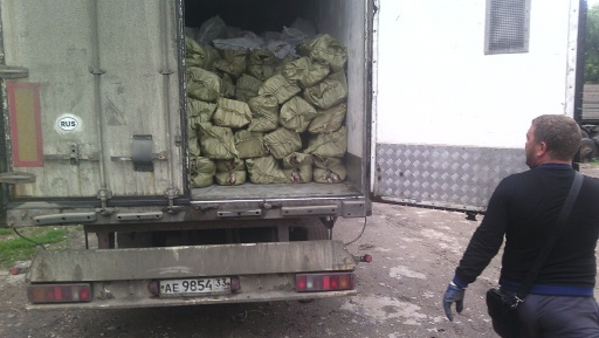 В Оренбургской области задержано и уничтожено 20 тонн контрафактной рыбы