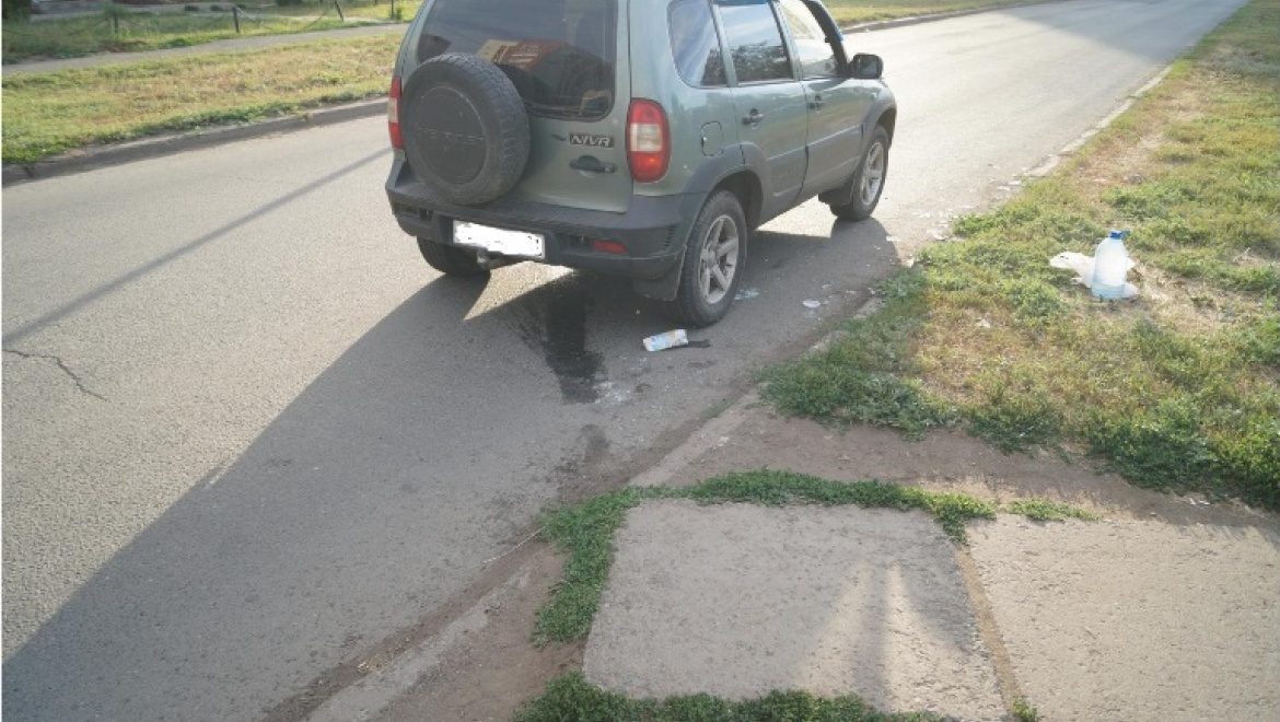 В Степном водитель «Шевроле Нива» сбил двух пешеходов