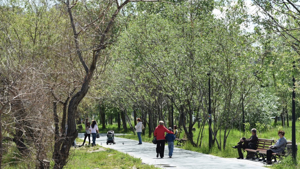 В Казани стартовала фотоэкспедиция по паркам и скверам
