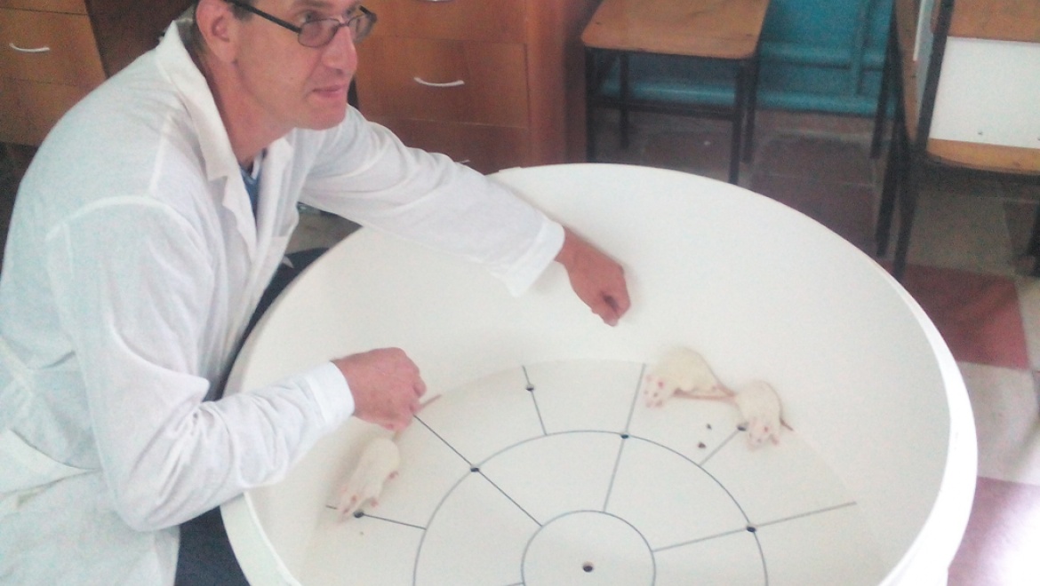 Ученые  борются с насваем и ямами на дорогах   