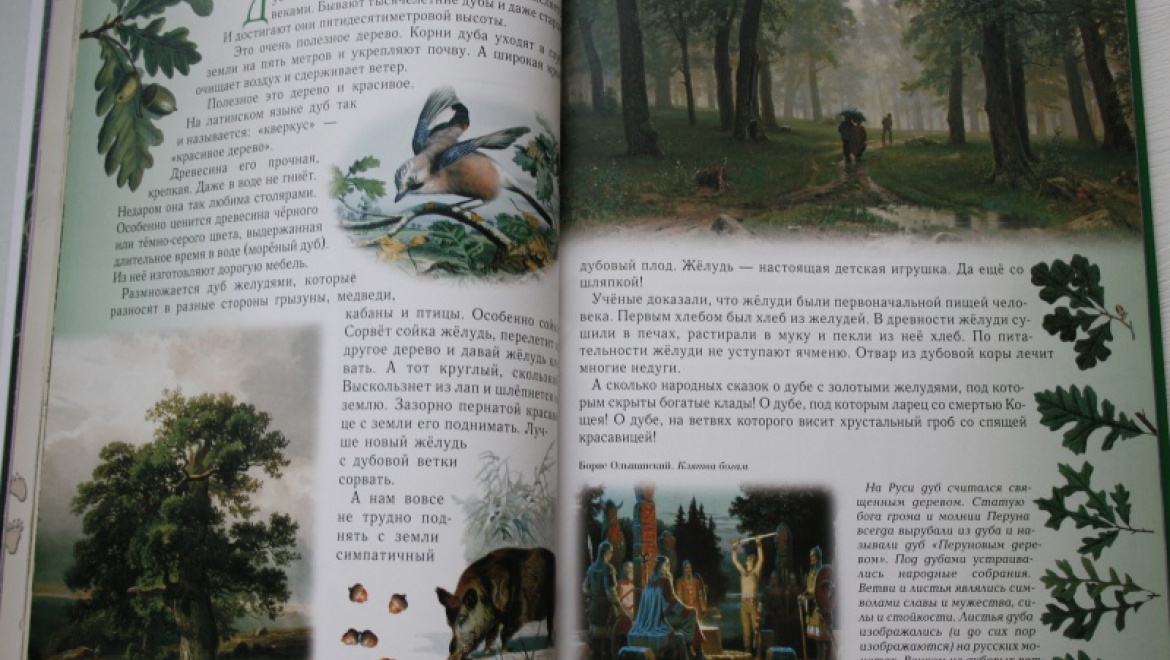 «Прогулки по лесу» пройдут в полиэтнической библиотеке   