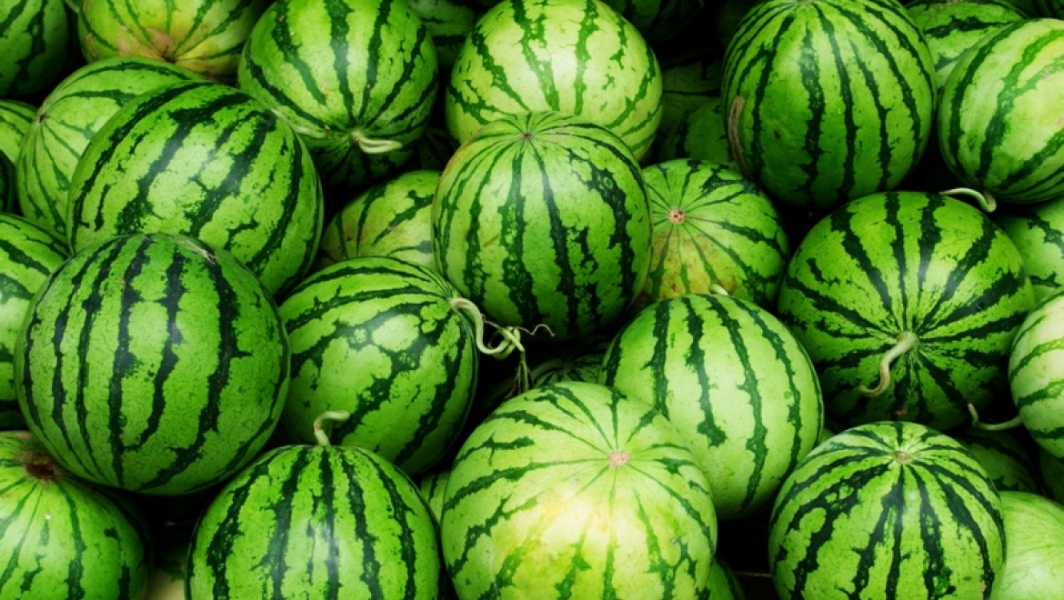 В Татарстане Роспотребнадзор начал проверки качества арбузов и дынь