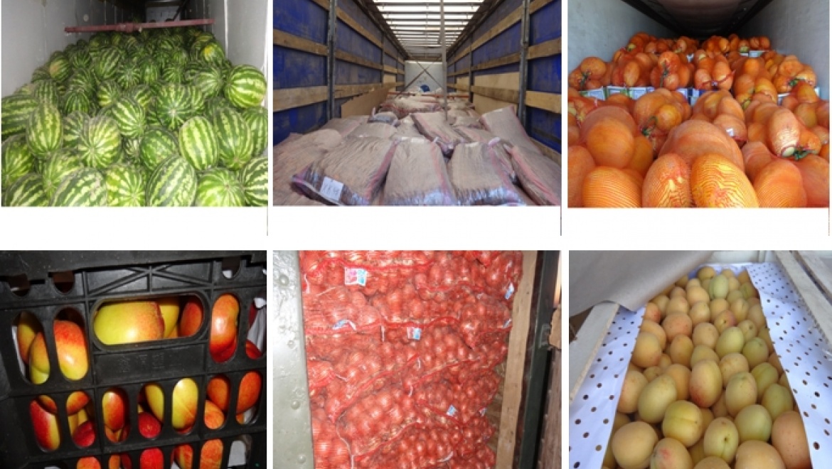 Россельхознадзор остановил на границе с Казахстаном 13 грузовиков с фруктами и овощами