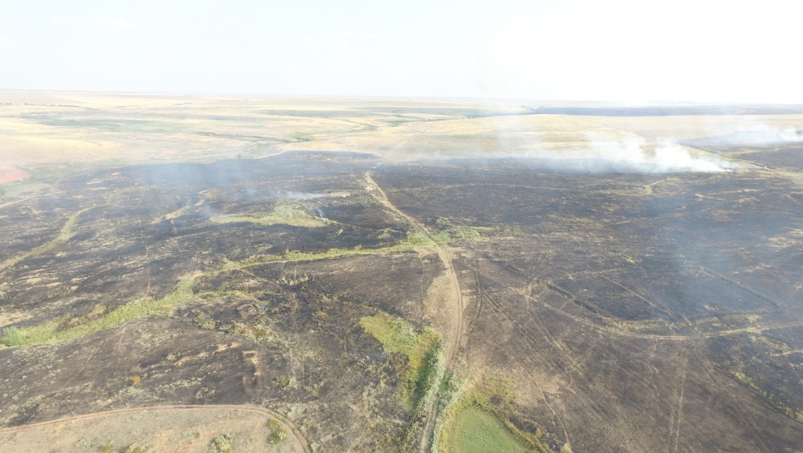 В Соль-Илецком районе выгорело 15 га степи