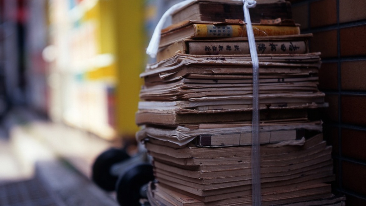 Экологический фестиваль пройдет в казанском парке «Кырлай»