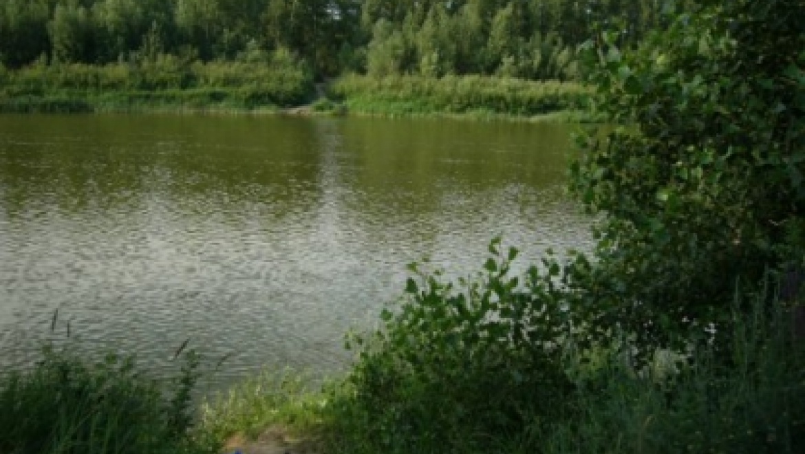 На реке Илек утонули две 10-летние девочки