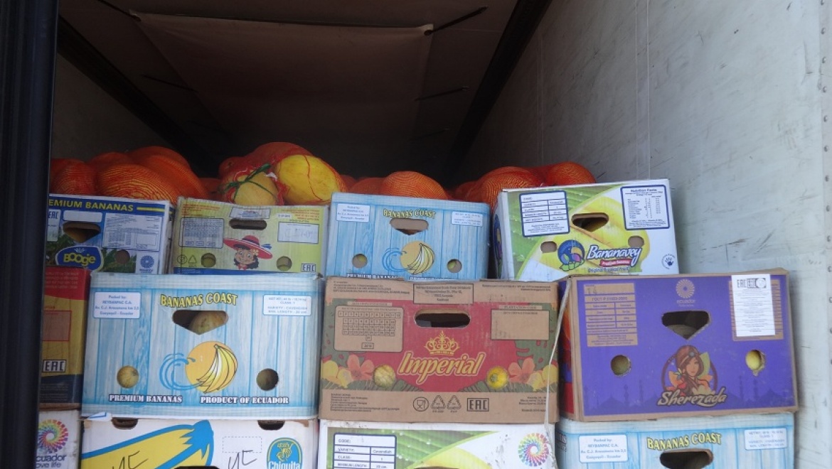 Около 20 тонн дыни возвращено в Республику Кыргыстан