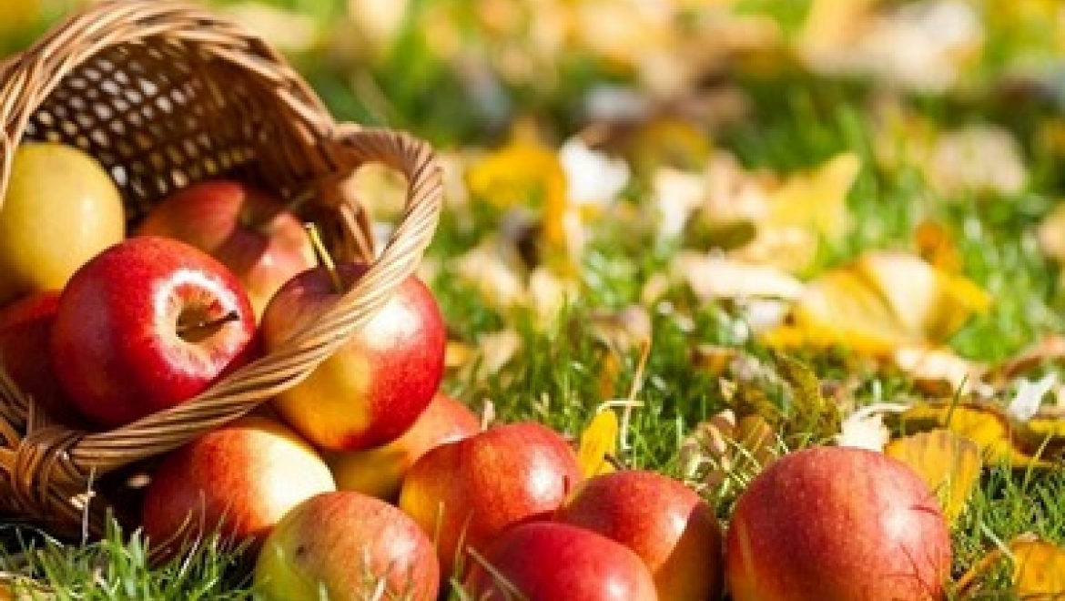 На «Яблочном спасе» в Казани представят мир русских традиций, хороводов, песен и шуток