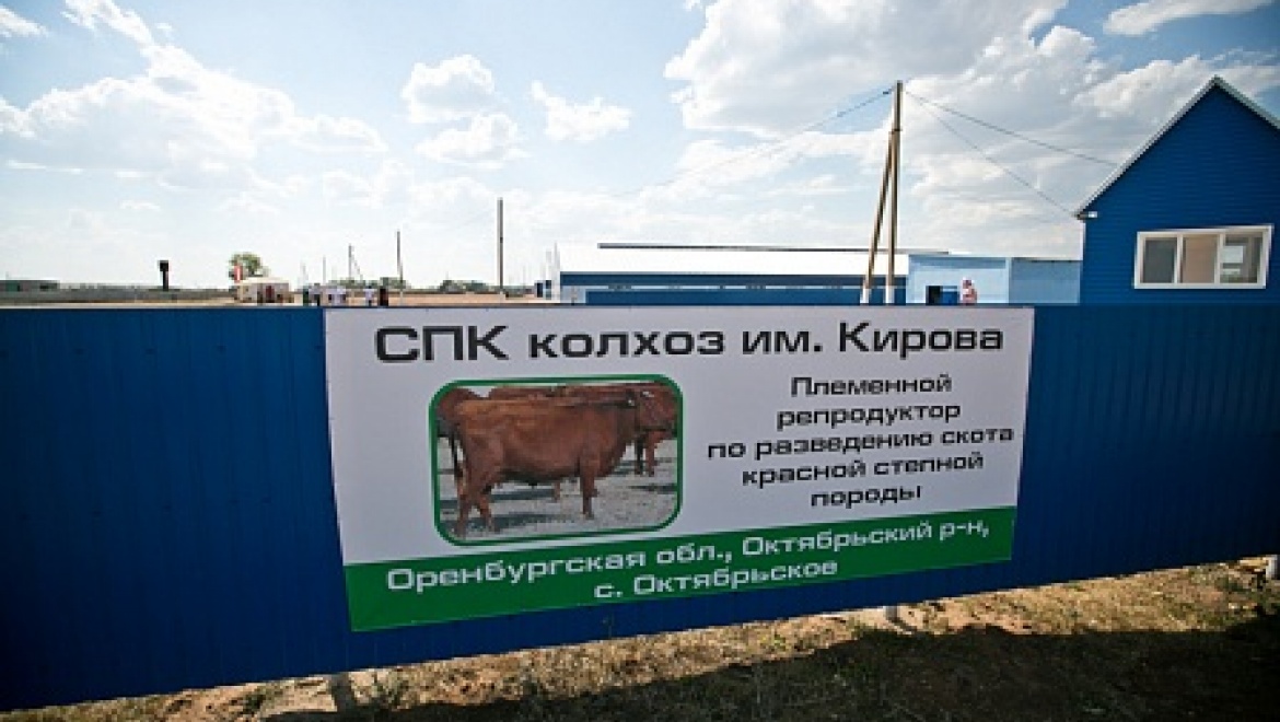 В Оренбуржье открылся новый молочный комплекс