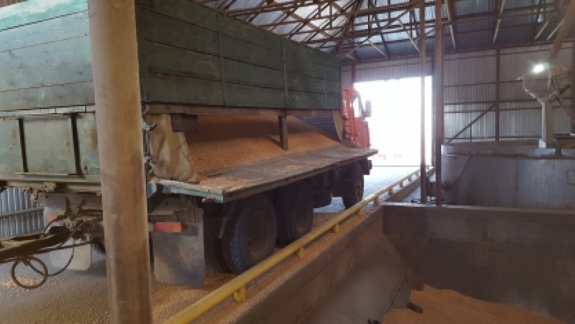 На элеваторе погиб рабочий