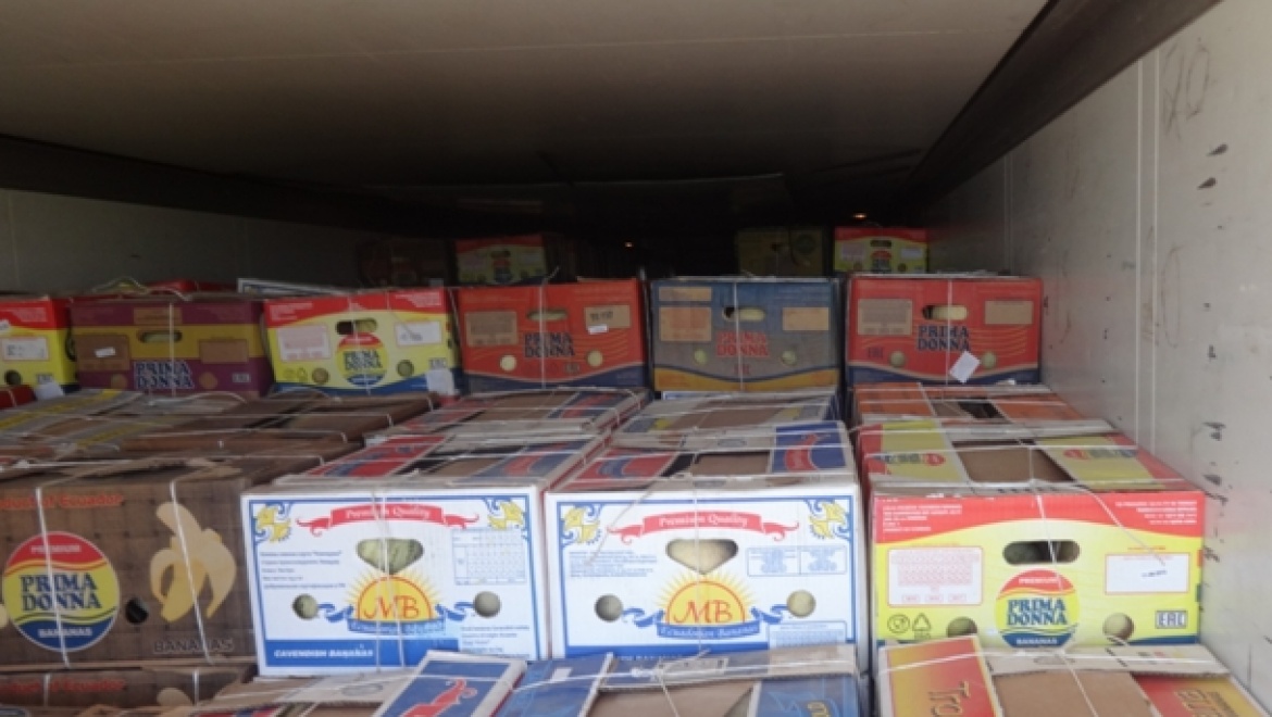 Россельхознадзор вернул в Казахстан 20 тонн дыни и 3 тонны муки