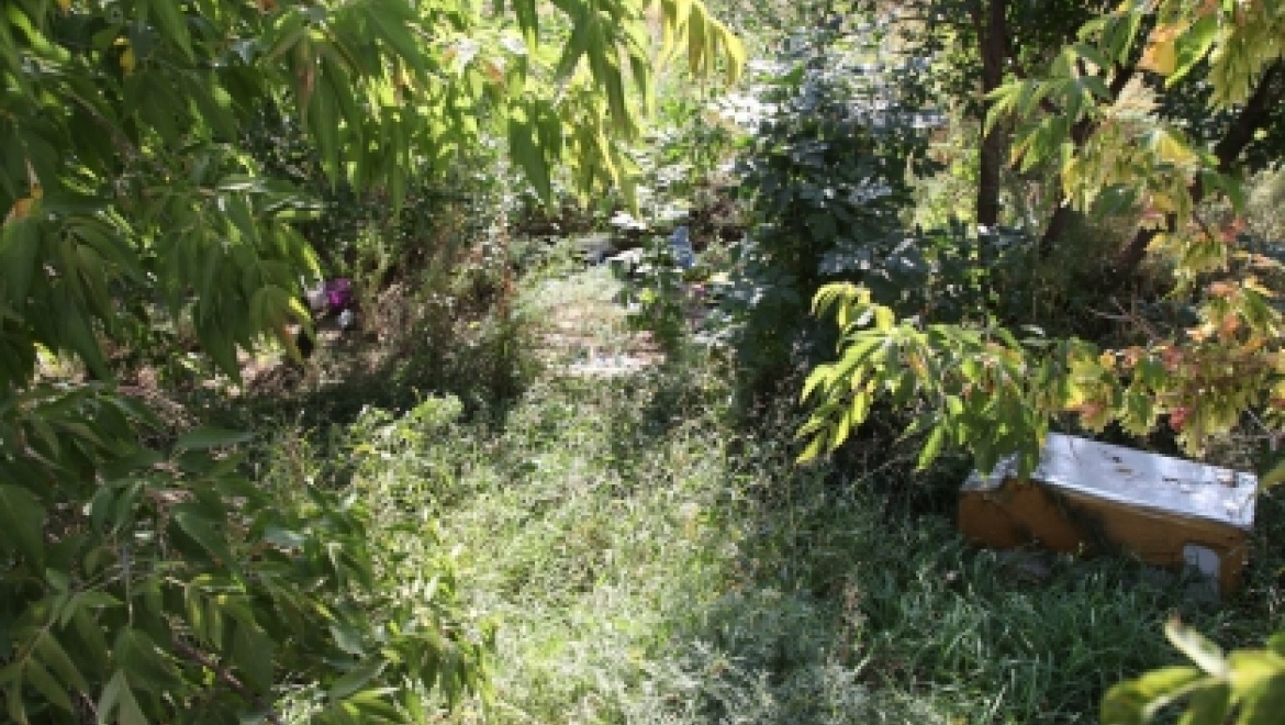 Задержаны убийцы оренбургской школьницы