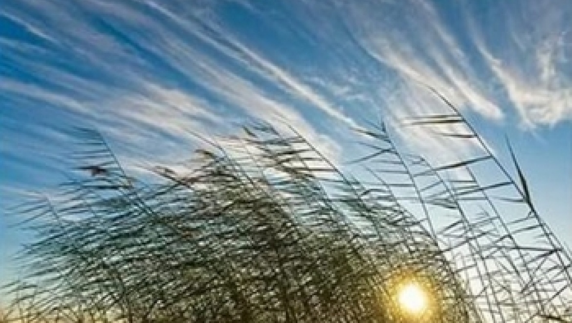 По области ожидается резкое понижение температуры