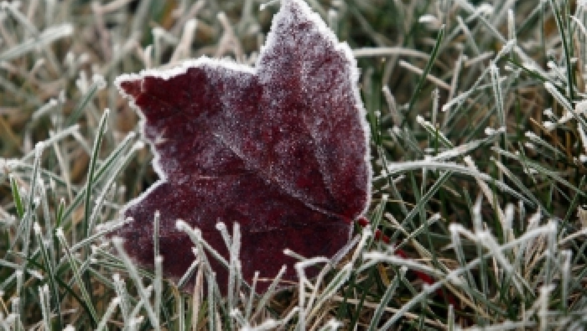 В Оренбуржье идут заморозки