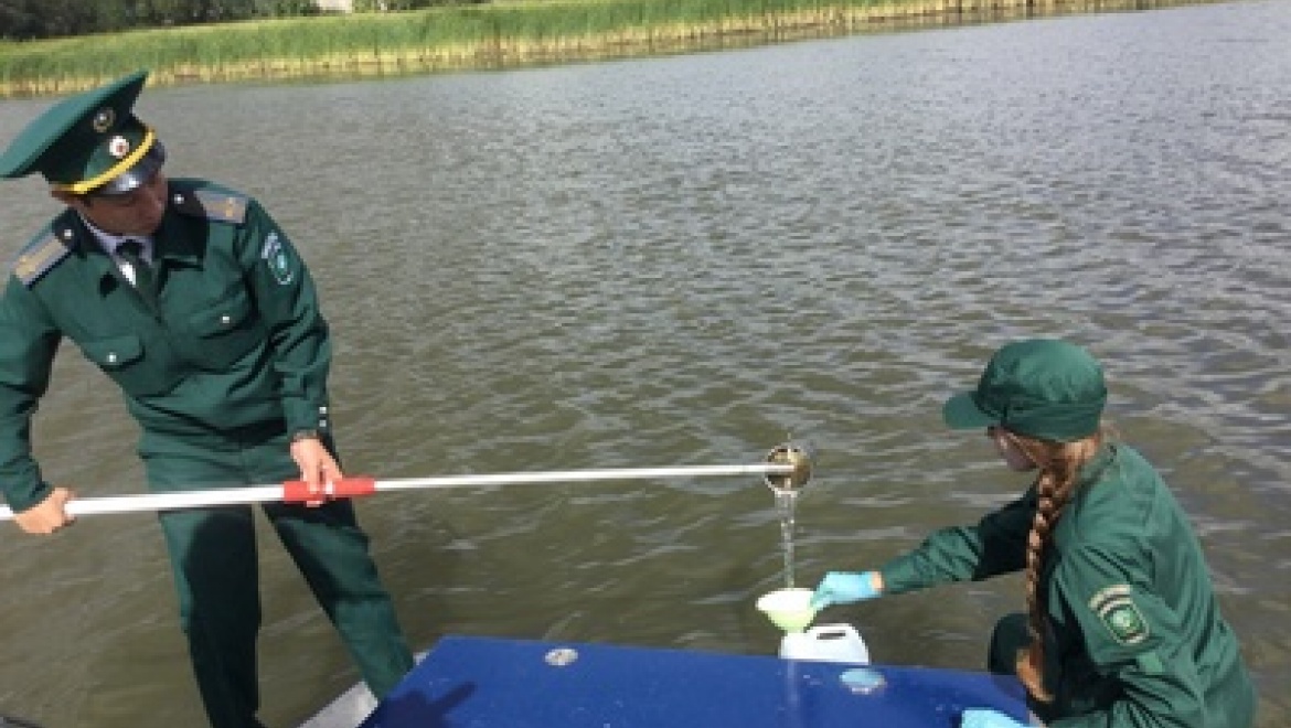 Содержание кислорода и химические показатели воды Казанки остаются в норме