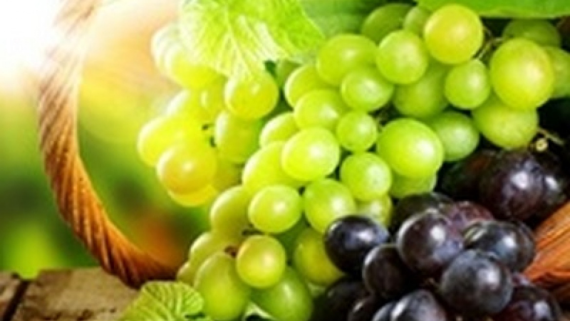 В Казани свои достижения представят лучшие виноградари России