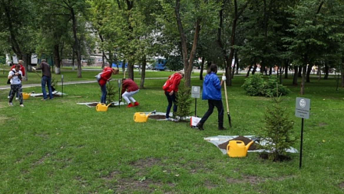 В молодежном парке Перовского в Оренбурге будут расти «евразийские» деревья